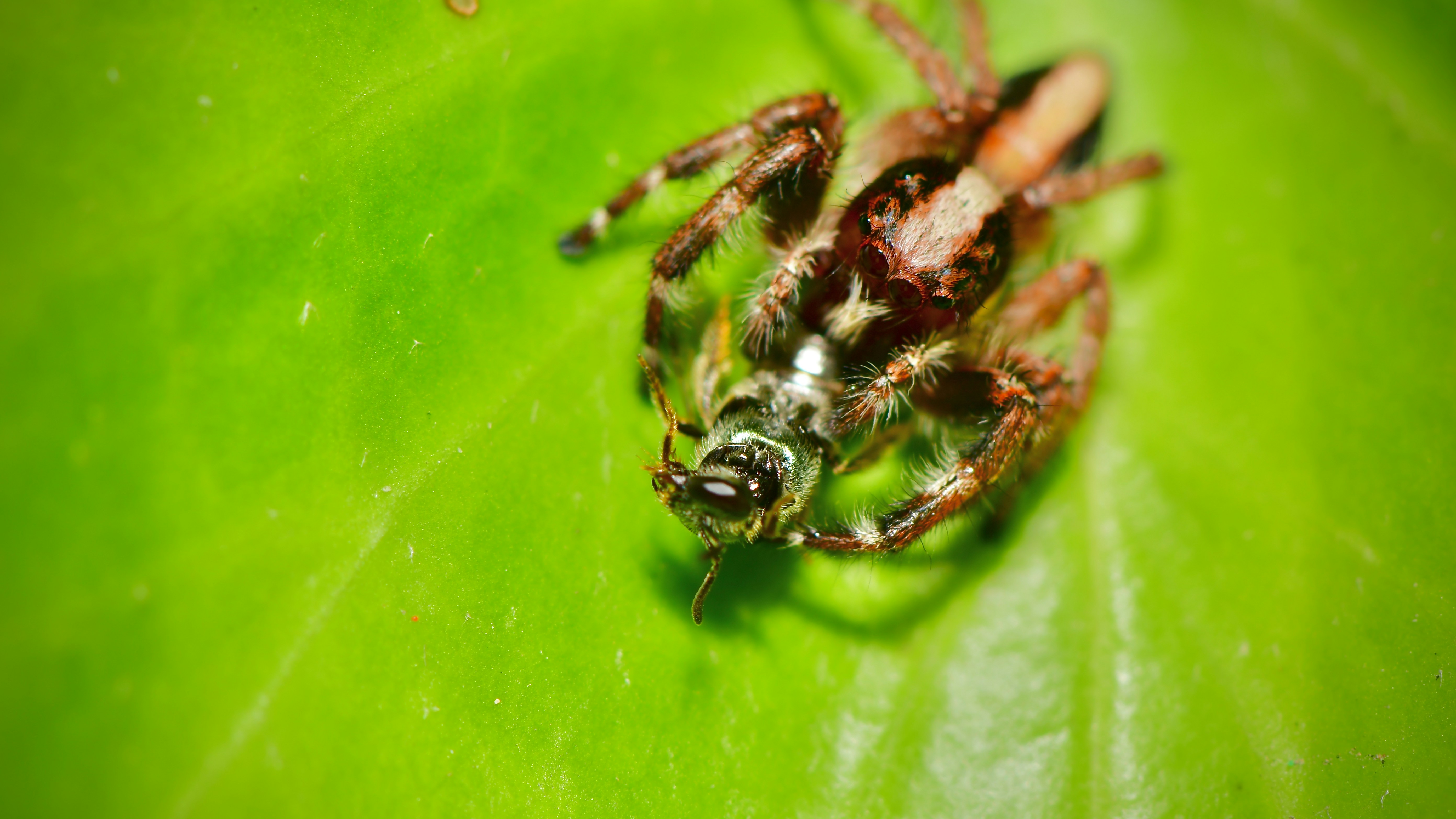 Photo by juanmascan1978