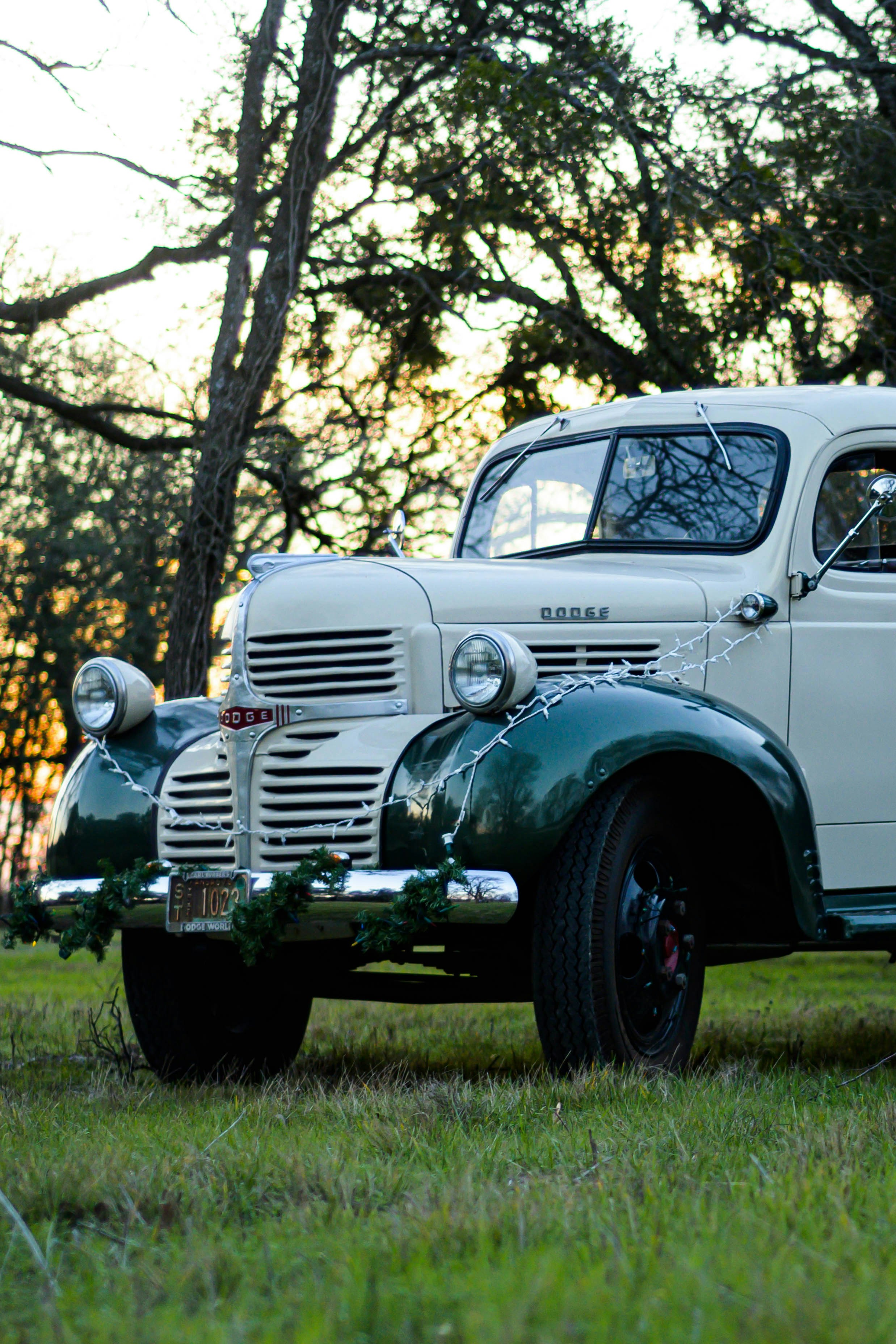 Photo by andrewlancaster