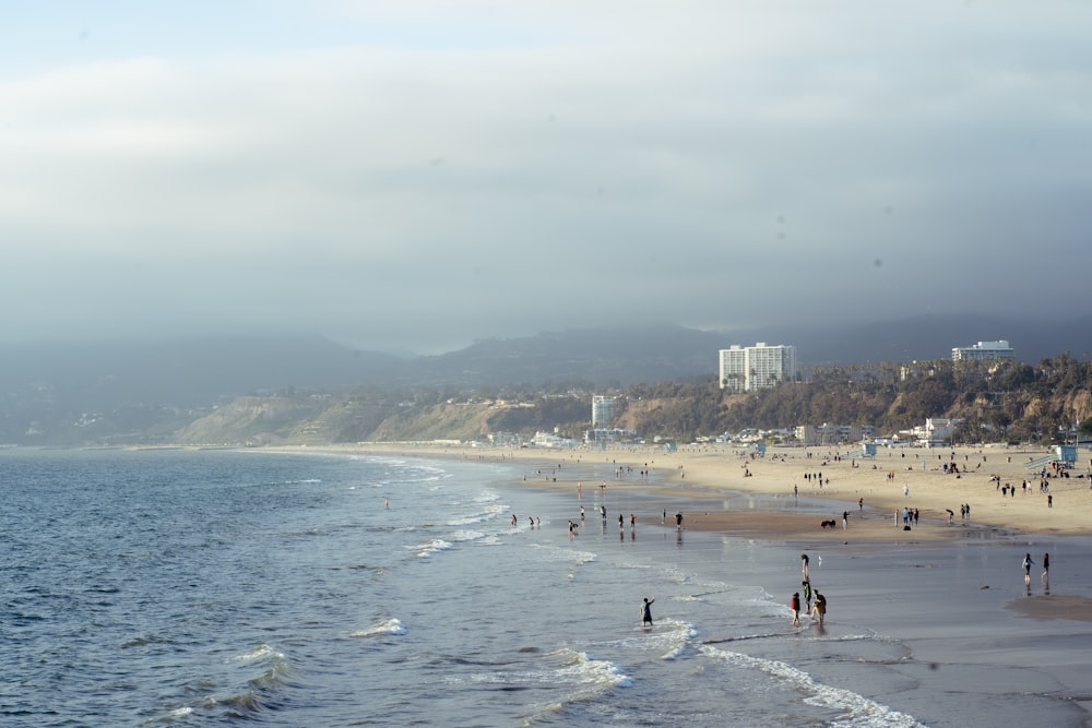 people on beach during daytime