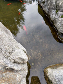 A freshly dug pond reflecting the clear blue sky, surrounded by natural Oklahoma terrain.