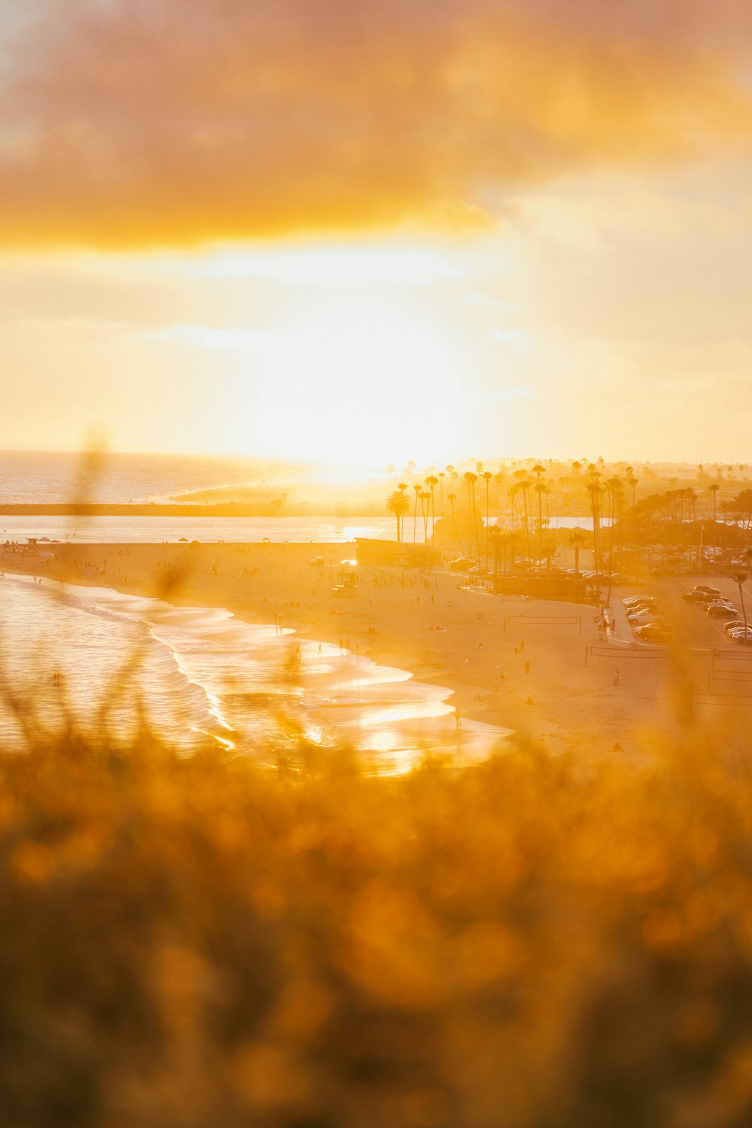 people walking on beach during sunset