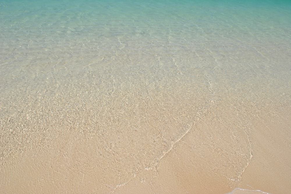 white sand beach during daytime