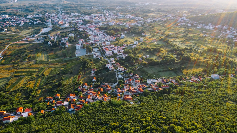 aerial view of green trees and houses during daytime