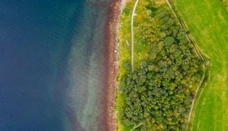 Aerial view of a landscape featuring a coastline where a green forested area meets a body of water. The shoreline is bordered by a strip of rocks and the forest is interspersed with walking paths. The water appears calm with shades of blue and green.