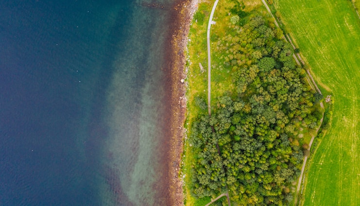 Aerial view of a landscape featuring a coastline where a green forested area meets a body of water. The shoreline is bordered by a strip of rocks and the forest is interspersed with walking paths. The water appears calm with shades of blue and green.