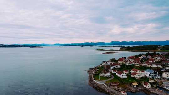 aerial view of city near body of water during daytime in Stavanger Norway