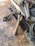 A variety of aged and worn tools are scattered on a rusty metal surface. The collection includes a wooden slingshot with rubber bands, a large hammer, an iron rod, a coil of wire, and a machete. The atmosphere feels rustic and utilitarian.