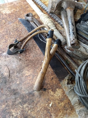 Mastering Wilderness Survival: Your Guide to Preparedness