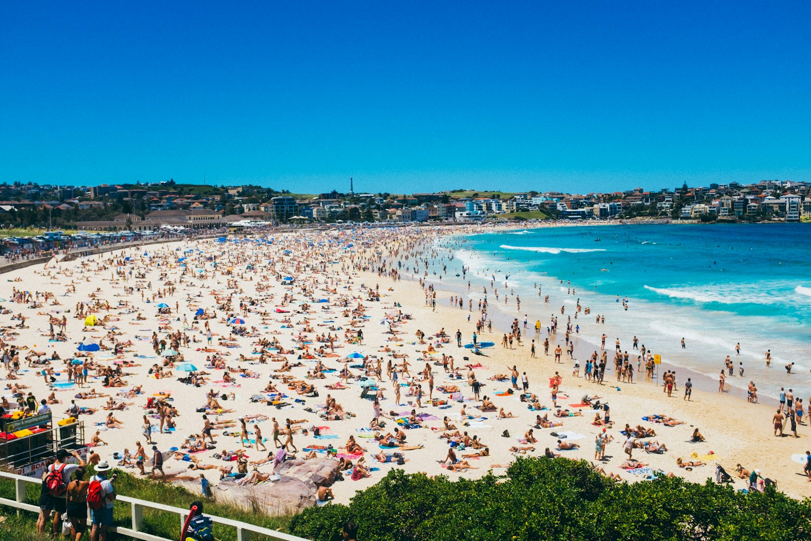 Coogee Beach