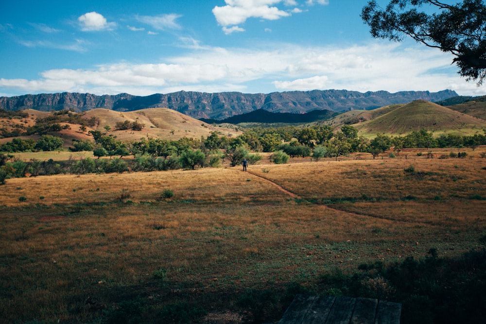 campo de grama verde perto da montanha sob o céu azul durante o dia