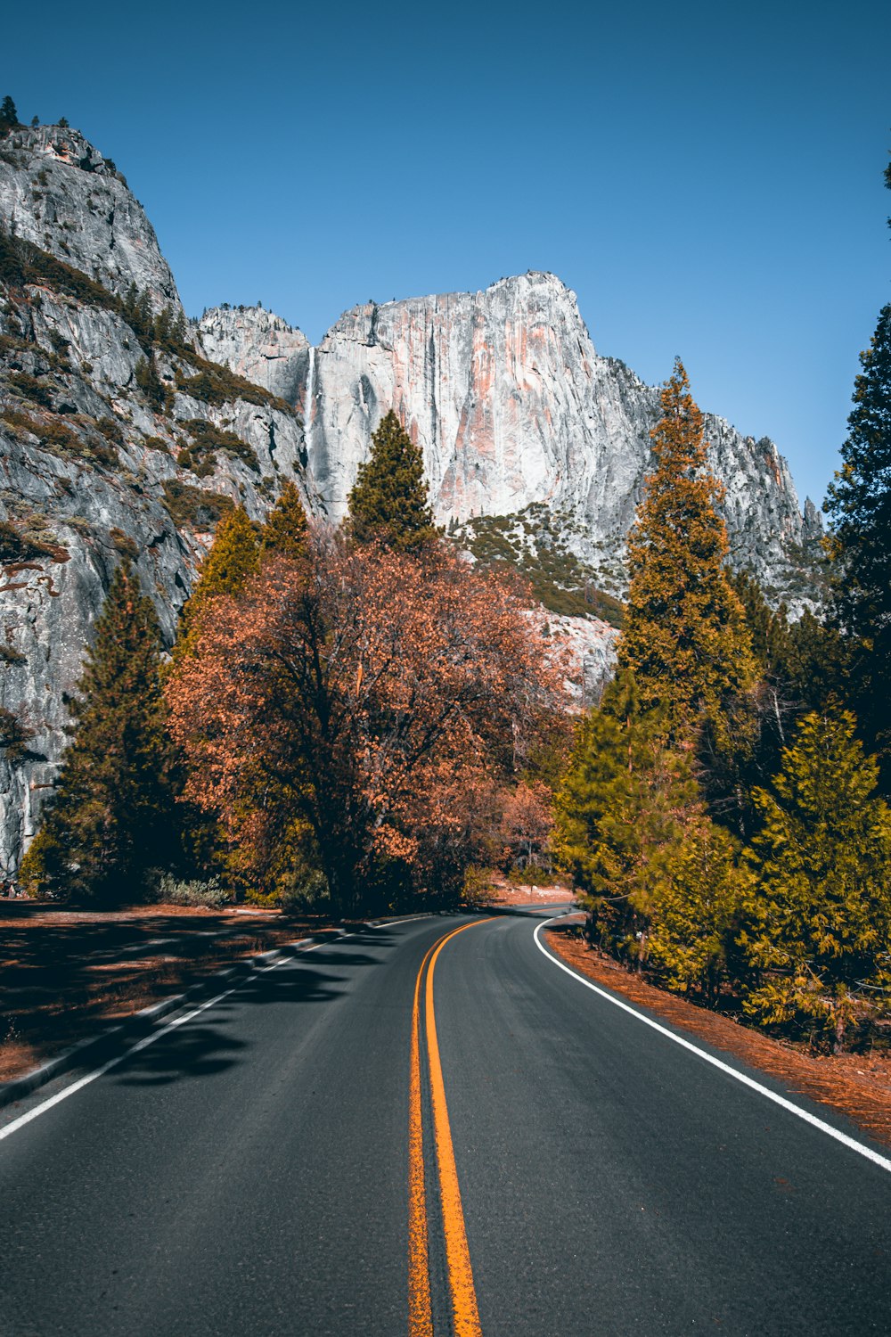 gray concrete road between trees and rocky mountain during daytime