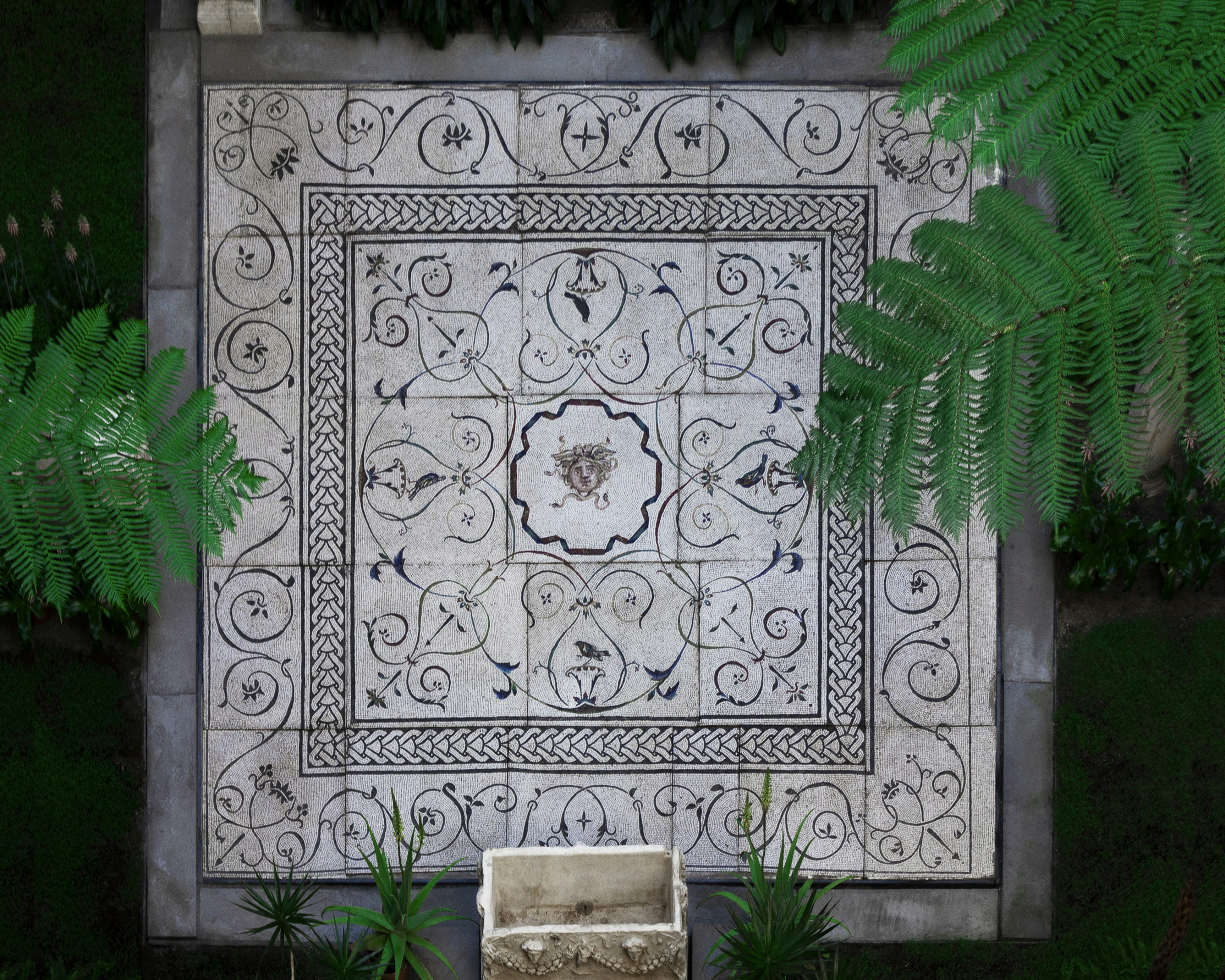 グレーと白の花柄のセラミック タイルに緑のシダ植物の写真 Unsplashで見つけるグレーの無料写真