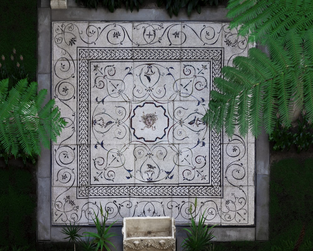 green fern plant on grey and white floral ceramic tile