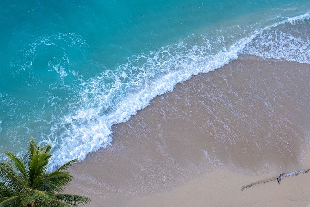 aerial view of beach during daytime