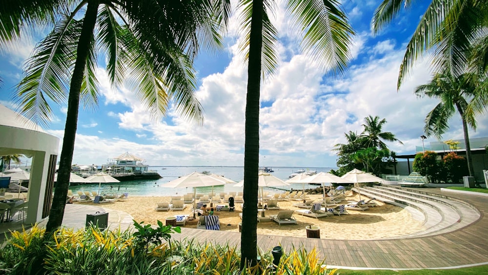 Yacht bianco sul mare vicino alle palme verdi durante il giorno