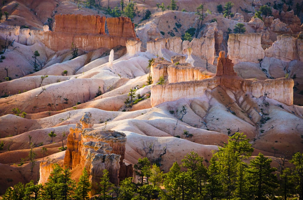 green trees on brown rocky mountain during daytime