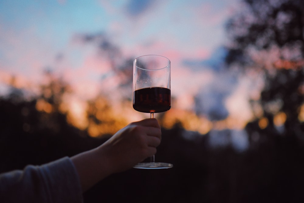 person holding clear wine glass with red wine during daytime
