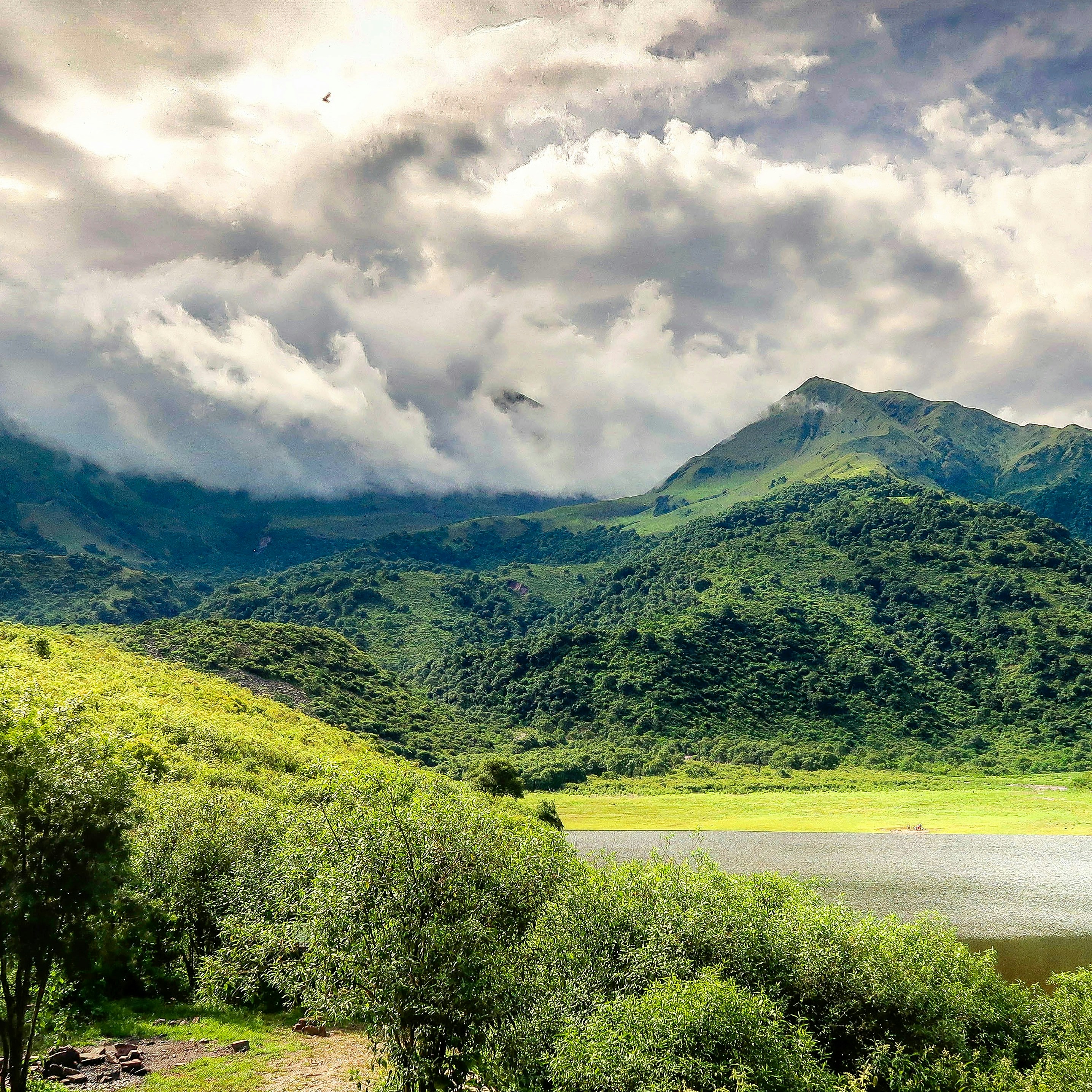 Photo by argentinanatural