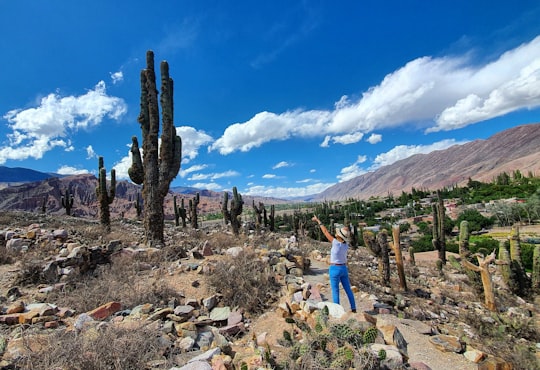 woman in blue shirt standing on brown rock during daytime in Jujuy Argentina