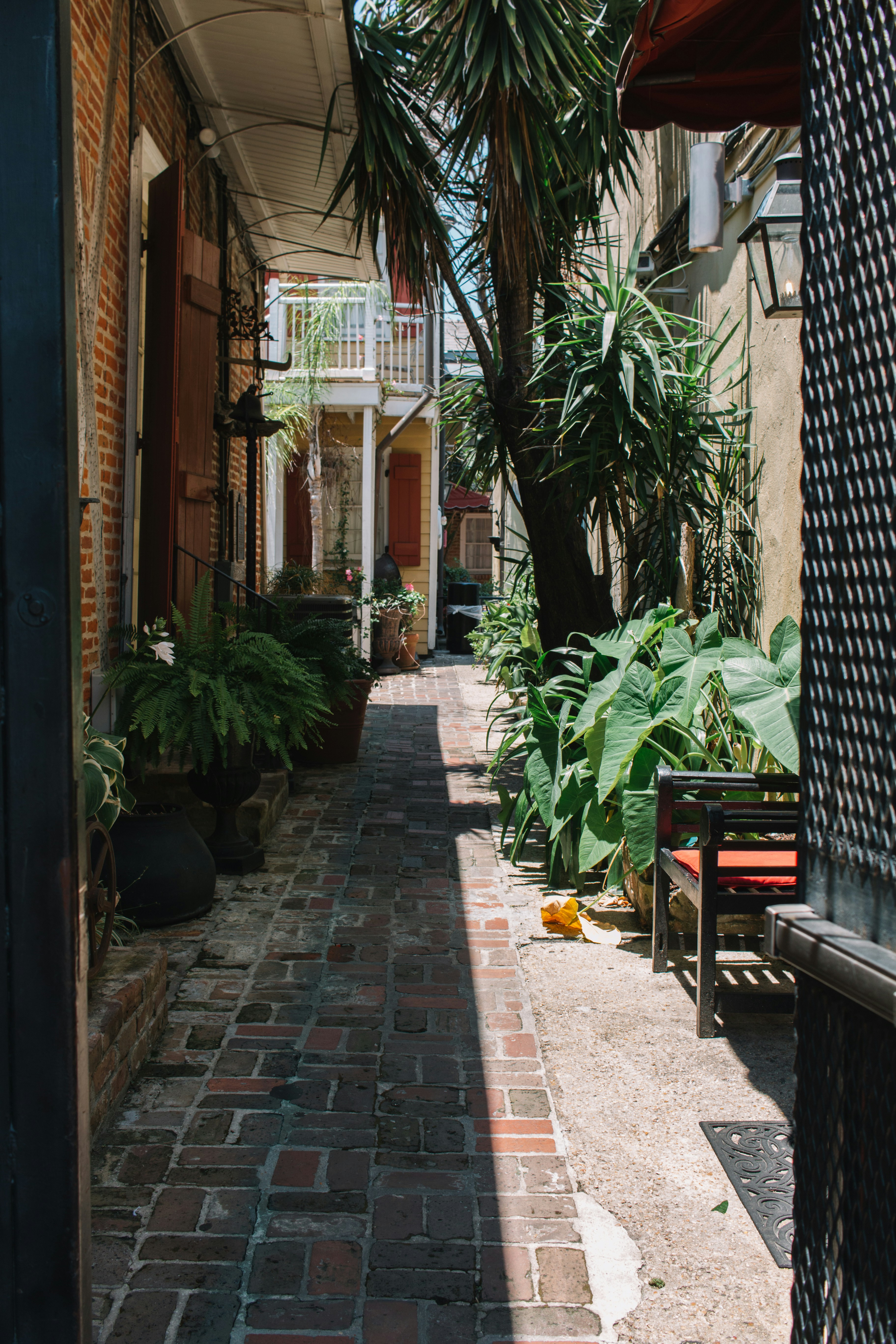 NOLA!