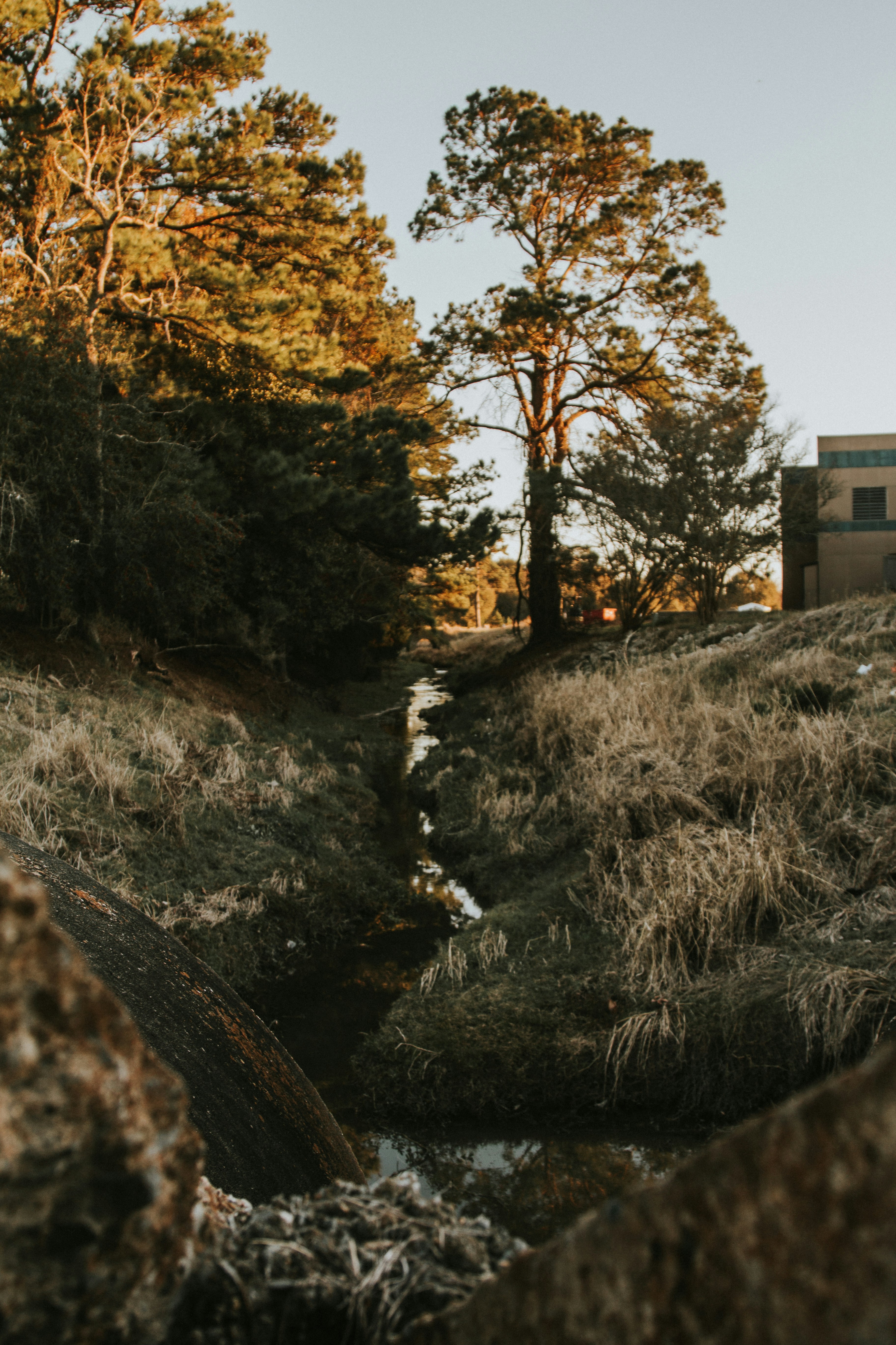 Photo by koolcreation