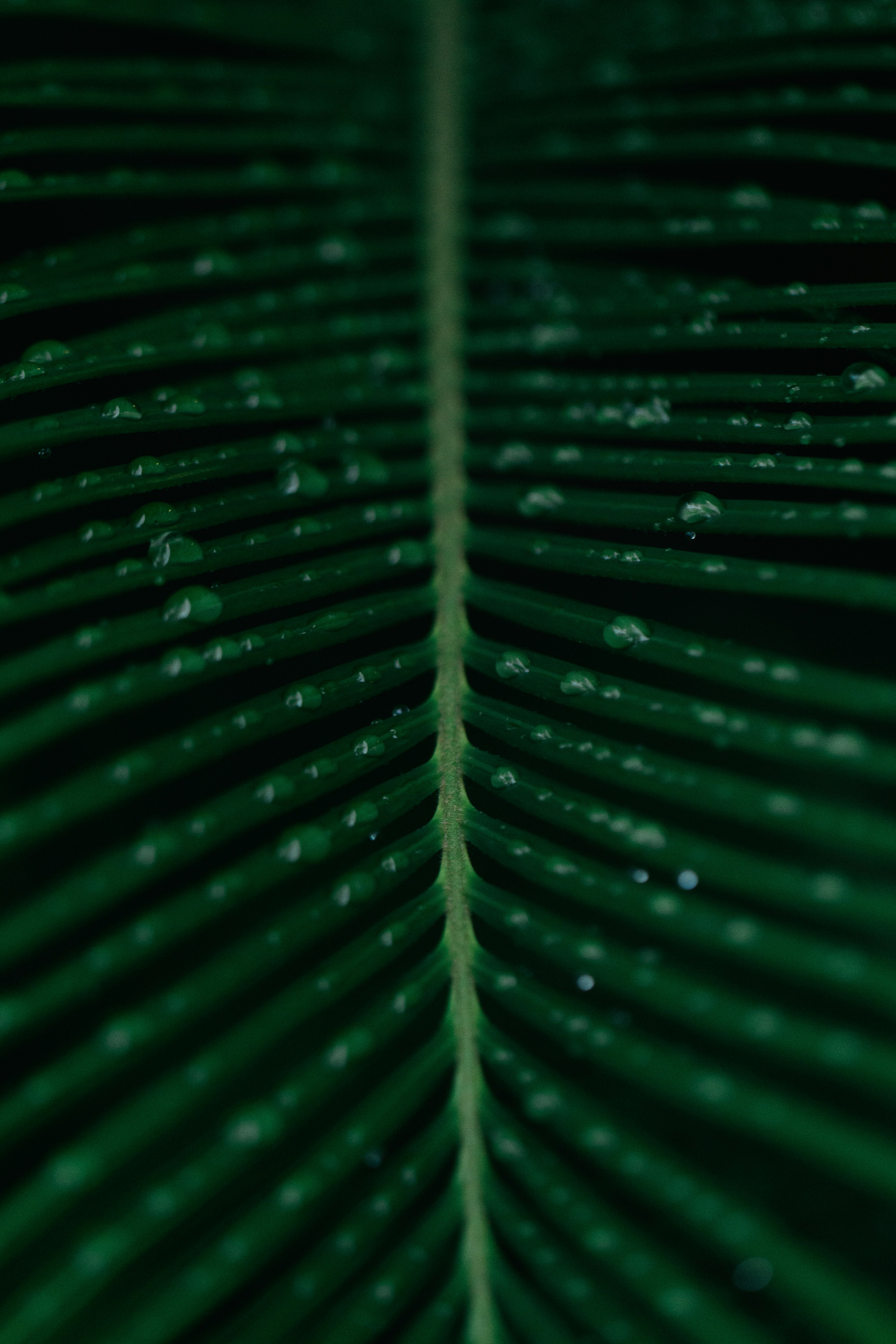 Photo by koolcreation