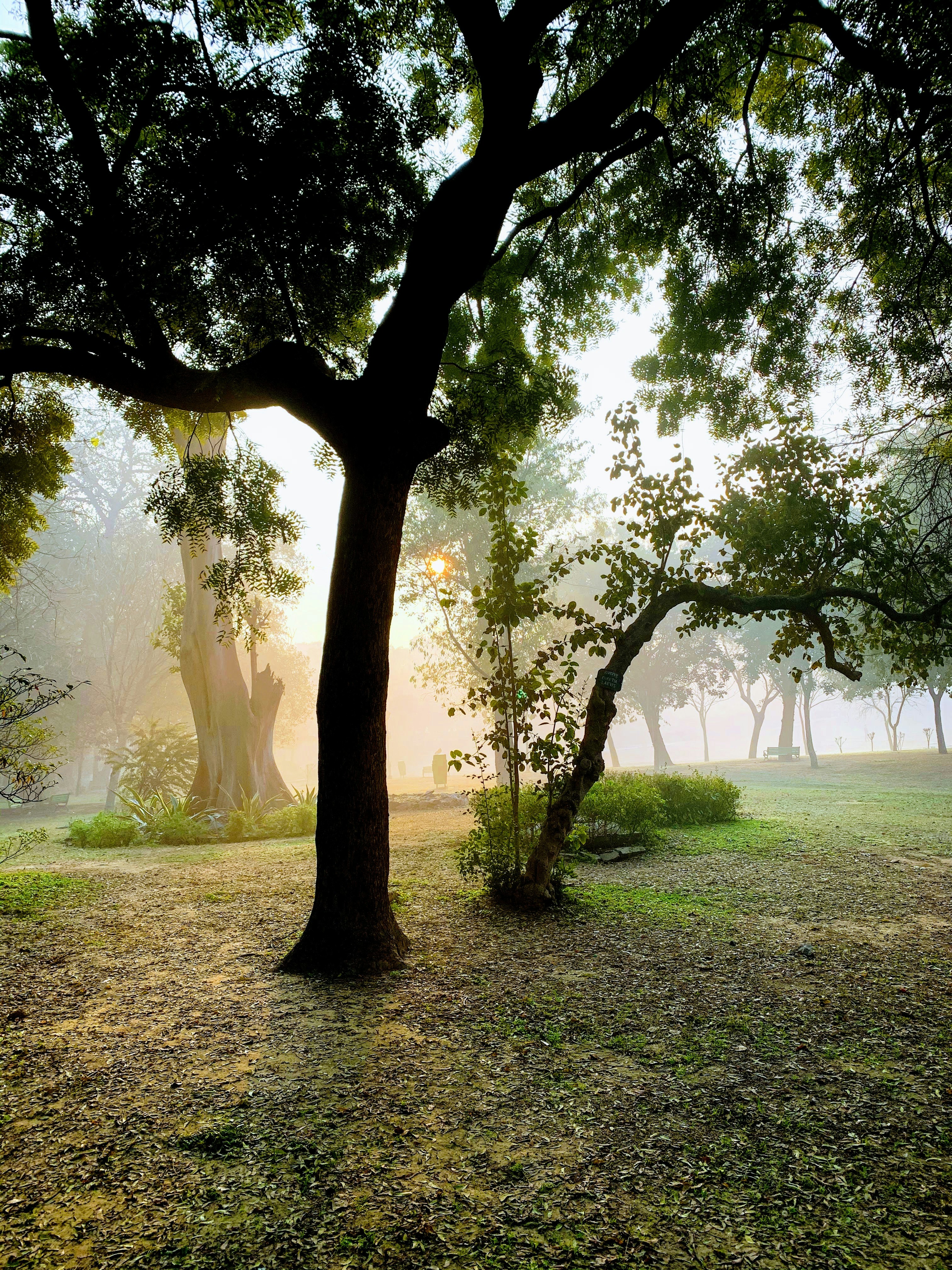 Photo by nitin_hooda13