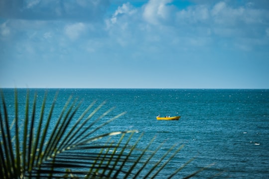 yellow and white boat on sea under blue sky during daytime in Omoa Honduras