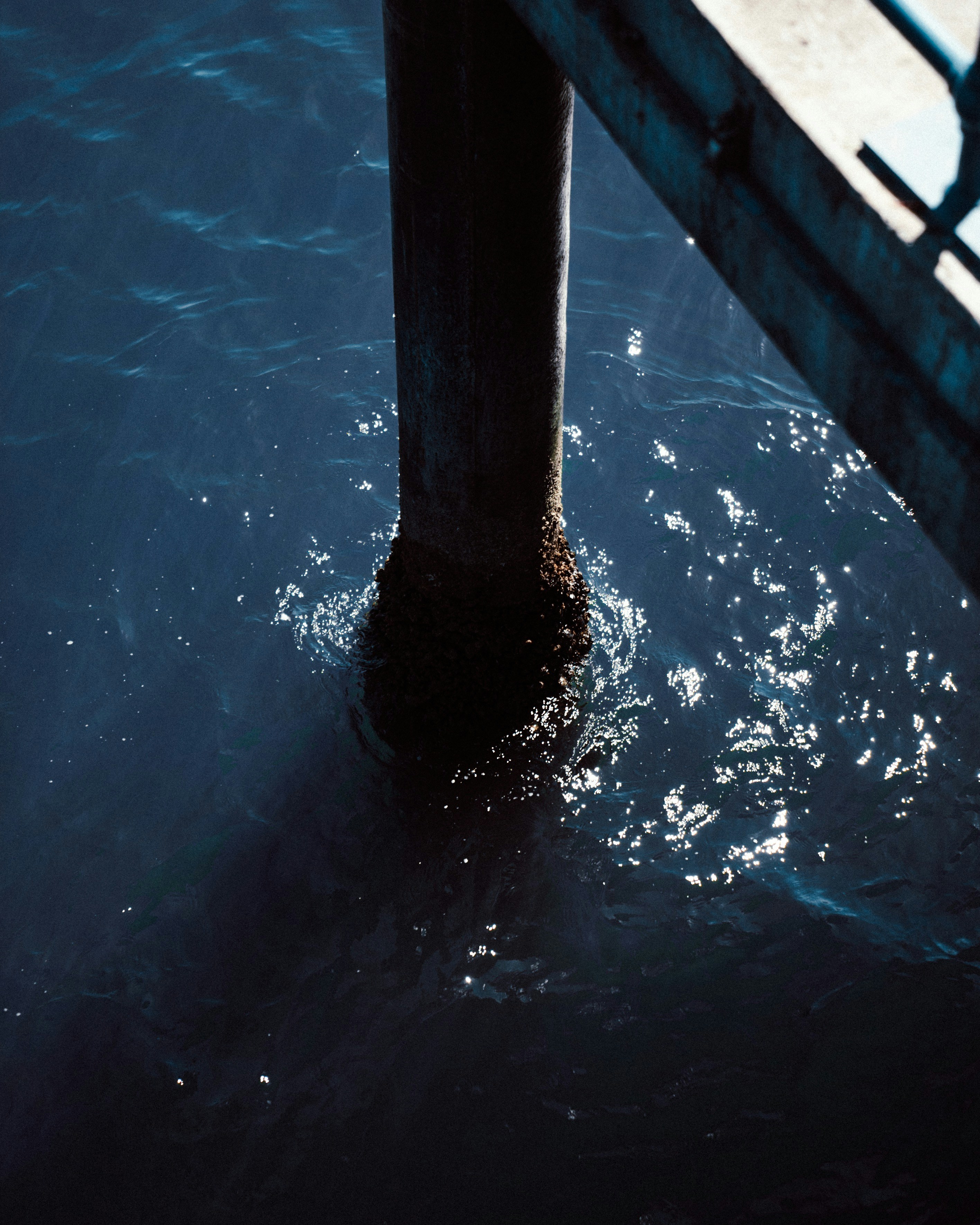 Photo by tylerchandlerr