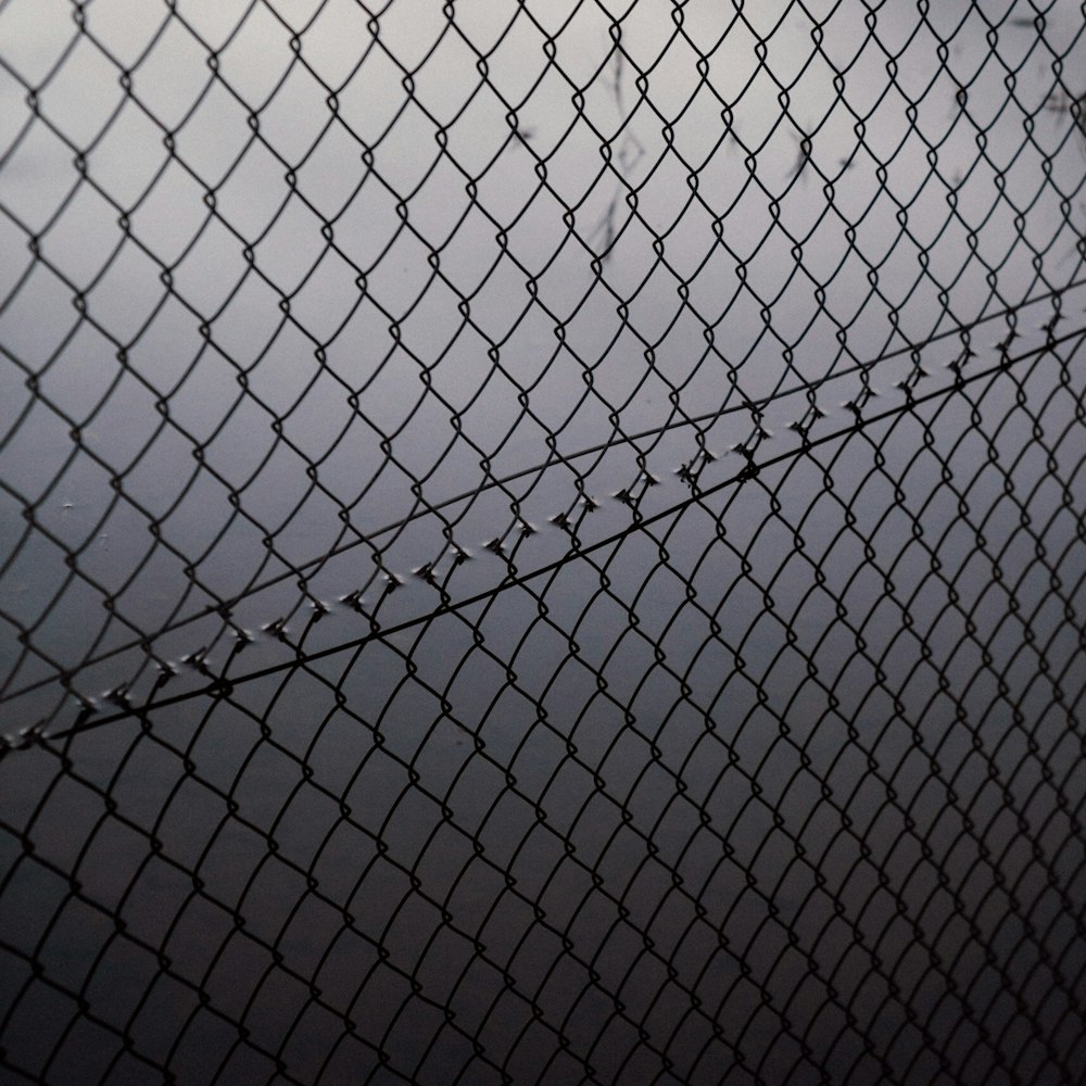 black metal fence with chain link fence