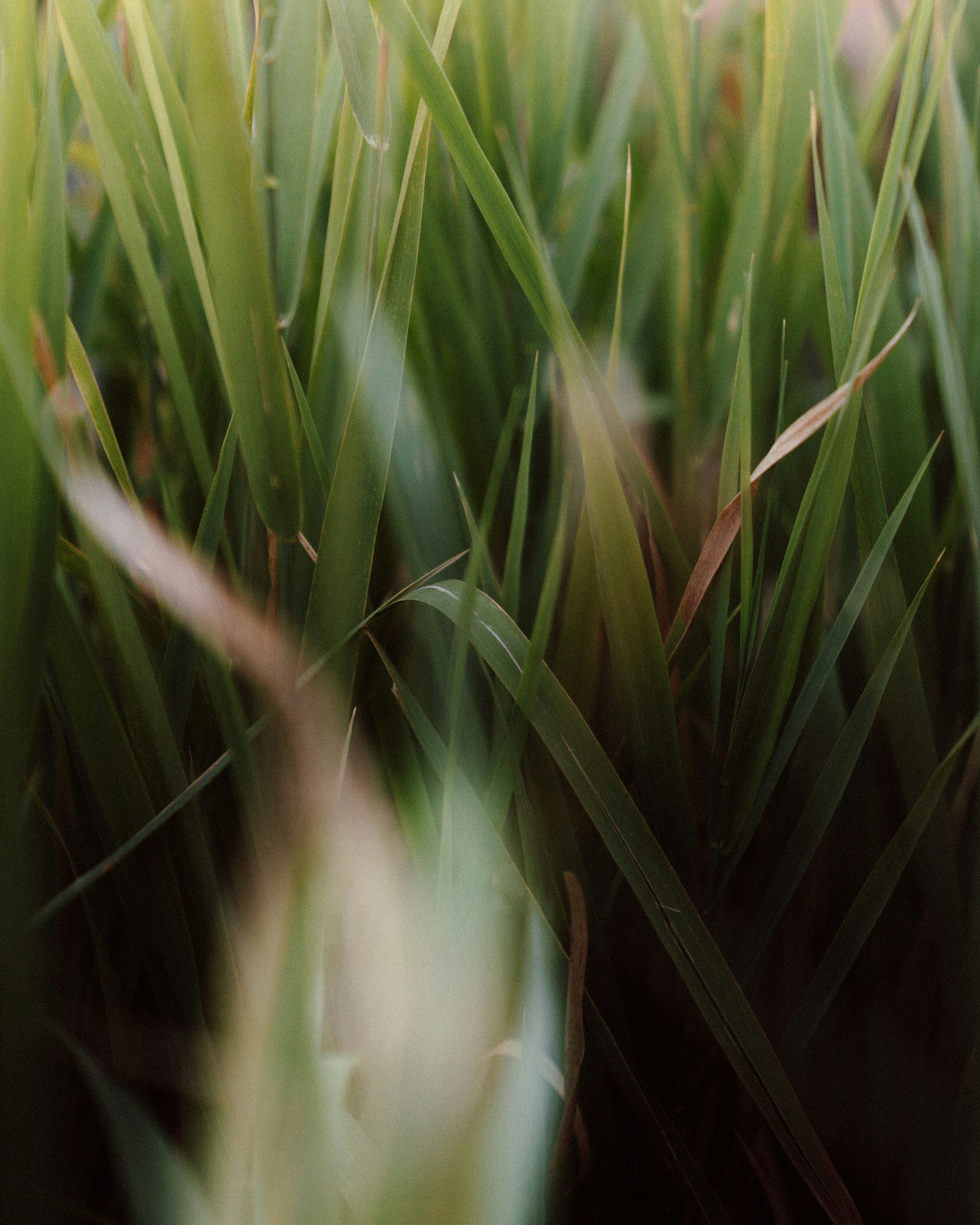 Photo by tylerchandlerr