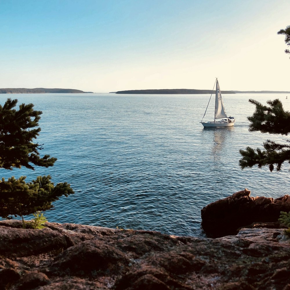 white sailboat on sea during daytime