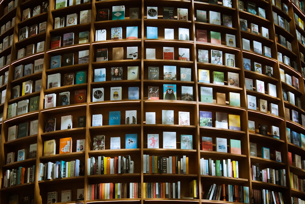 brown wooden book shelf with books