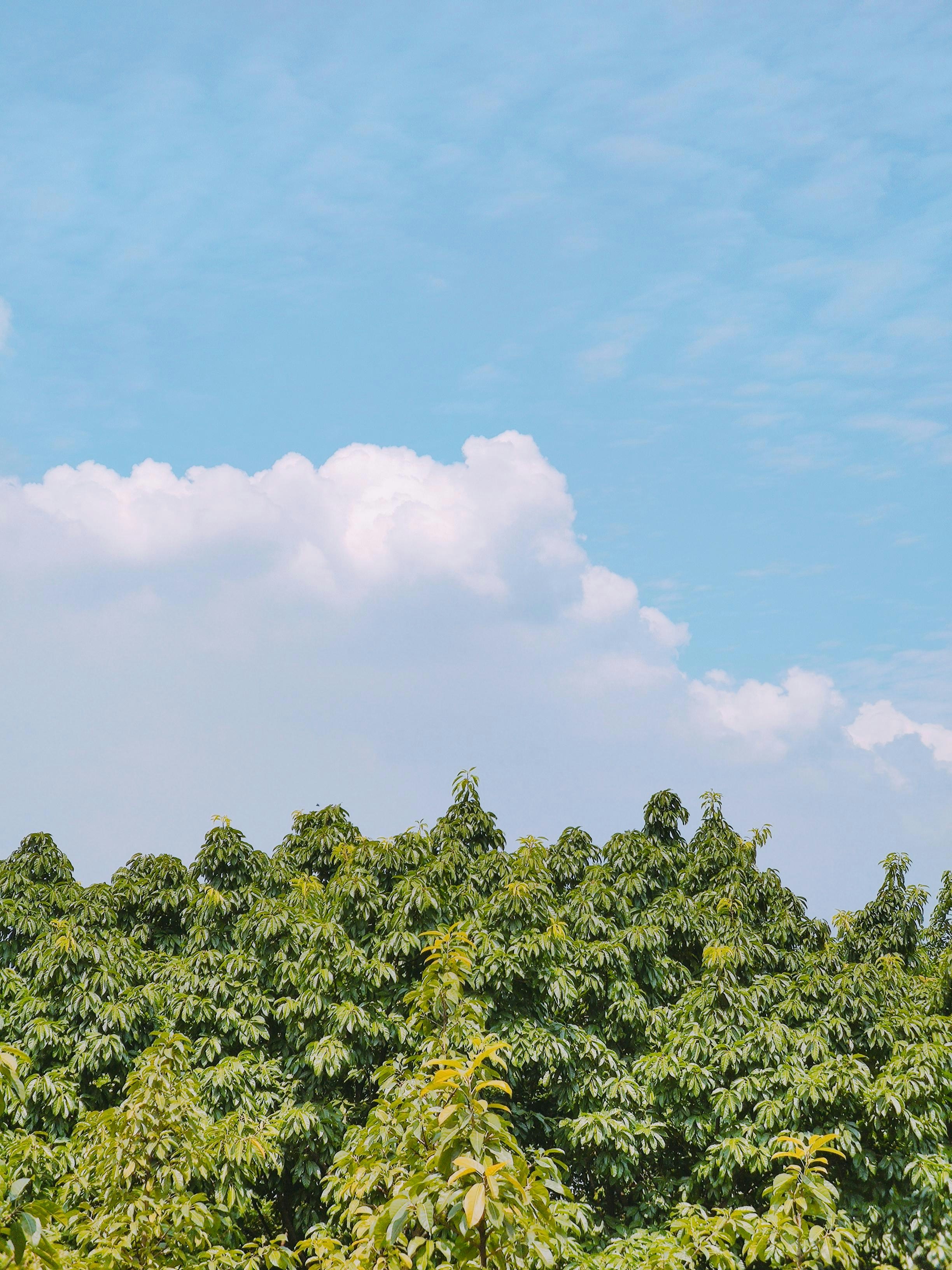 Photo by miracle_lex