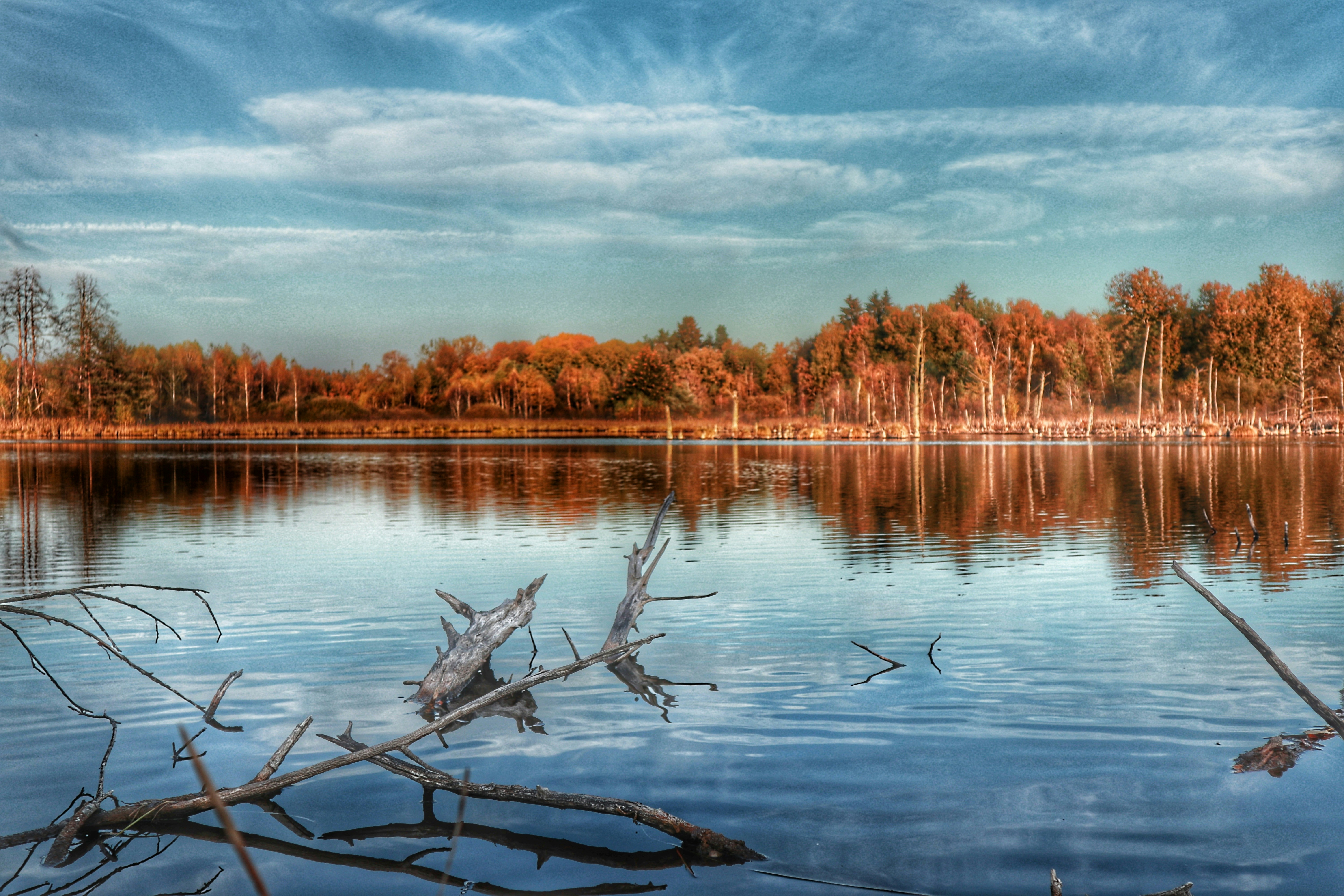 Photo by baraajalahej