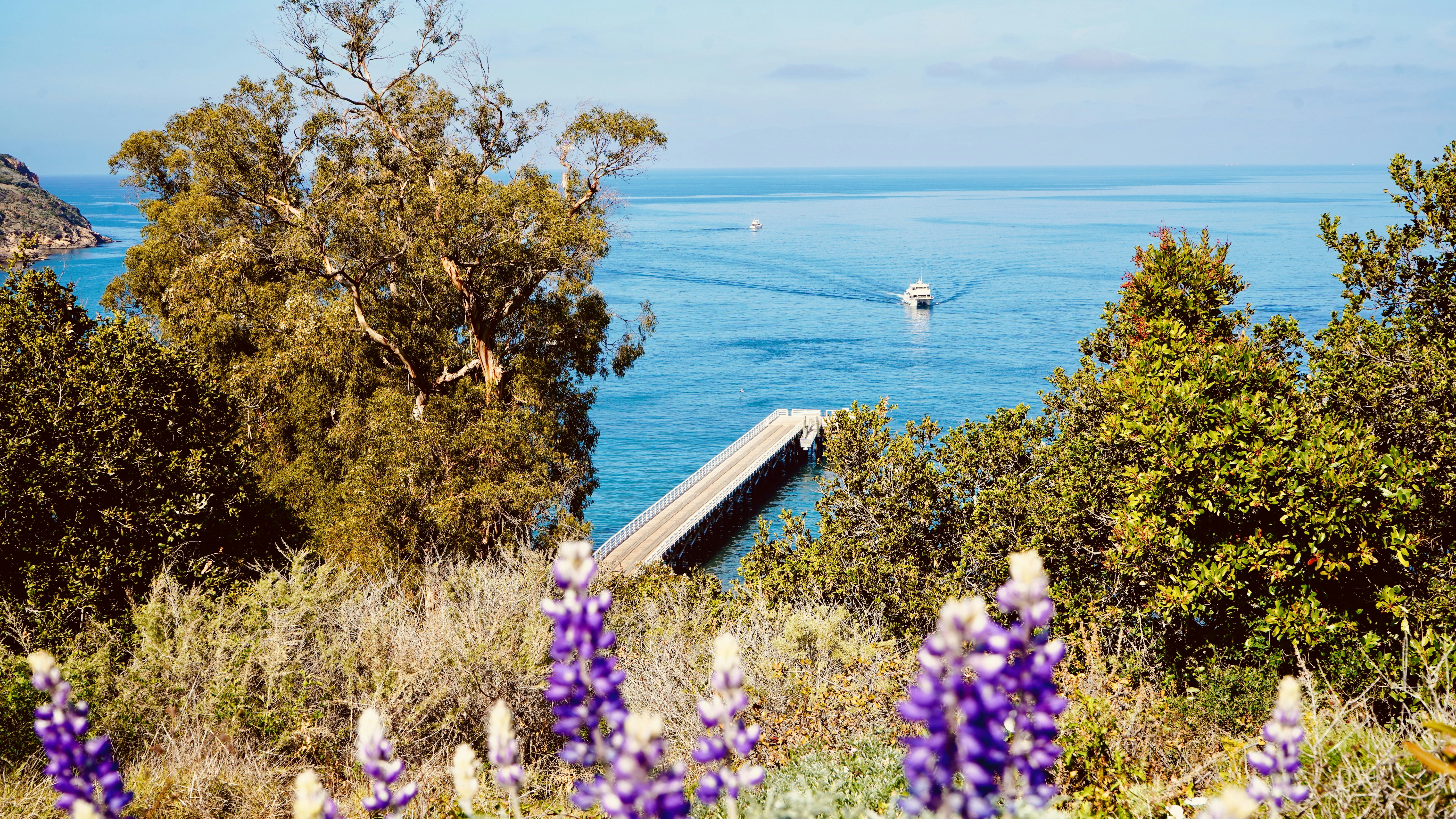 Channel Islands National Park