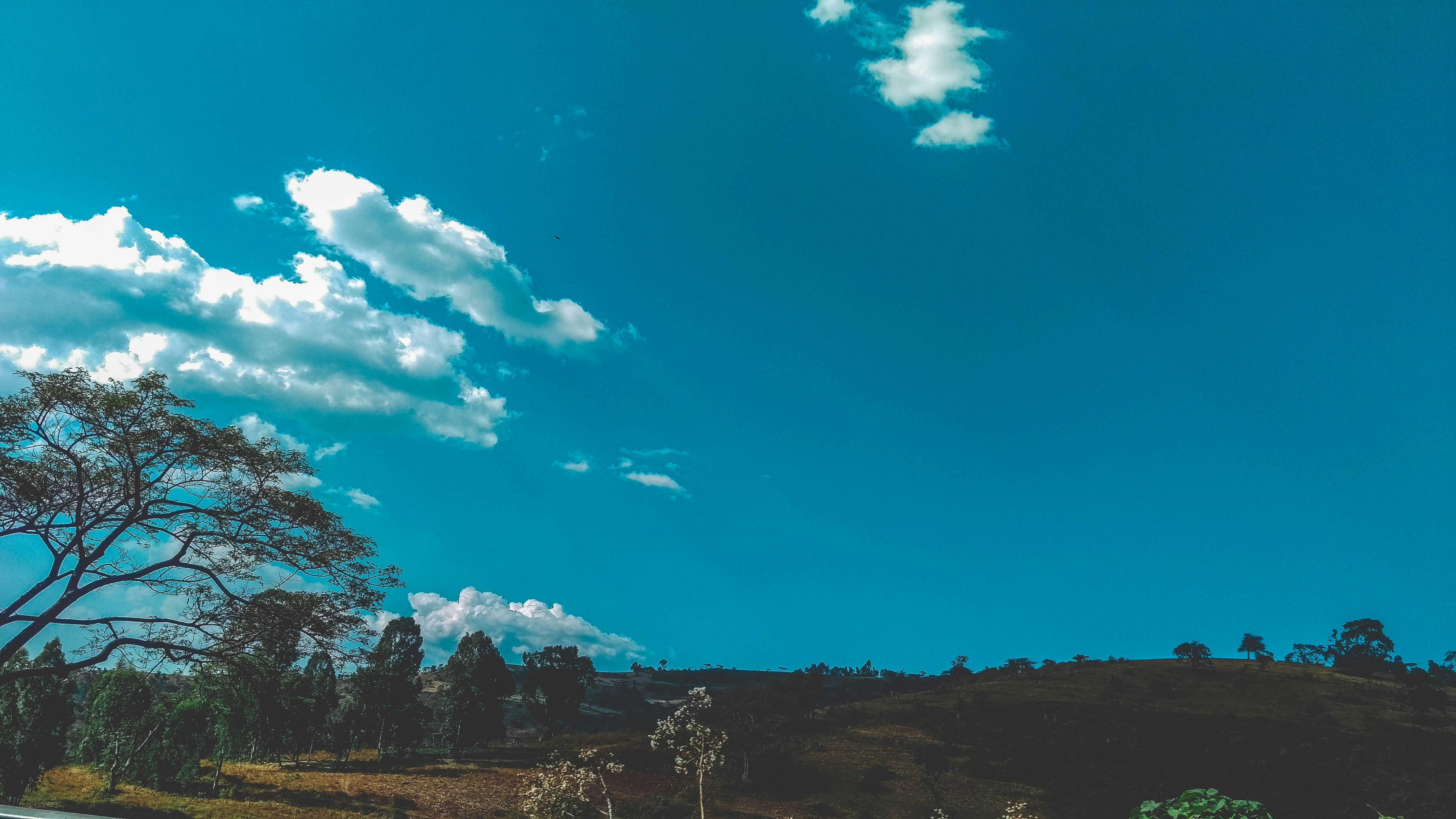 Photo by thatboymoti