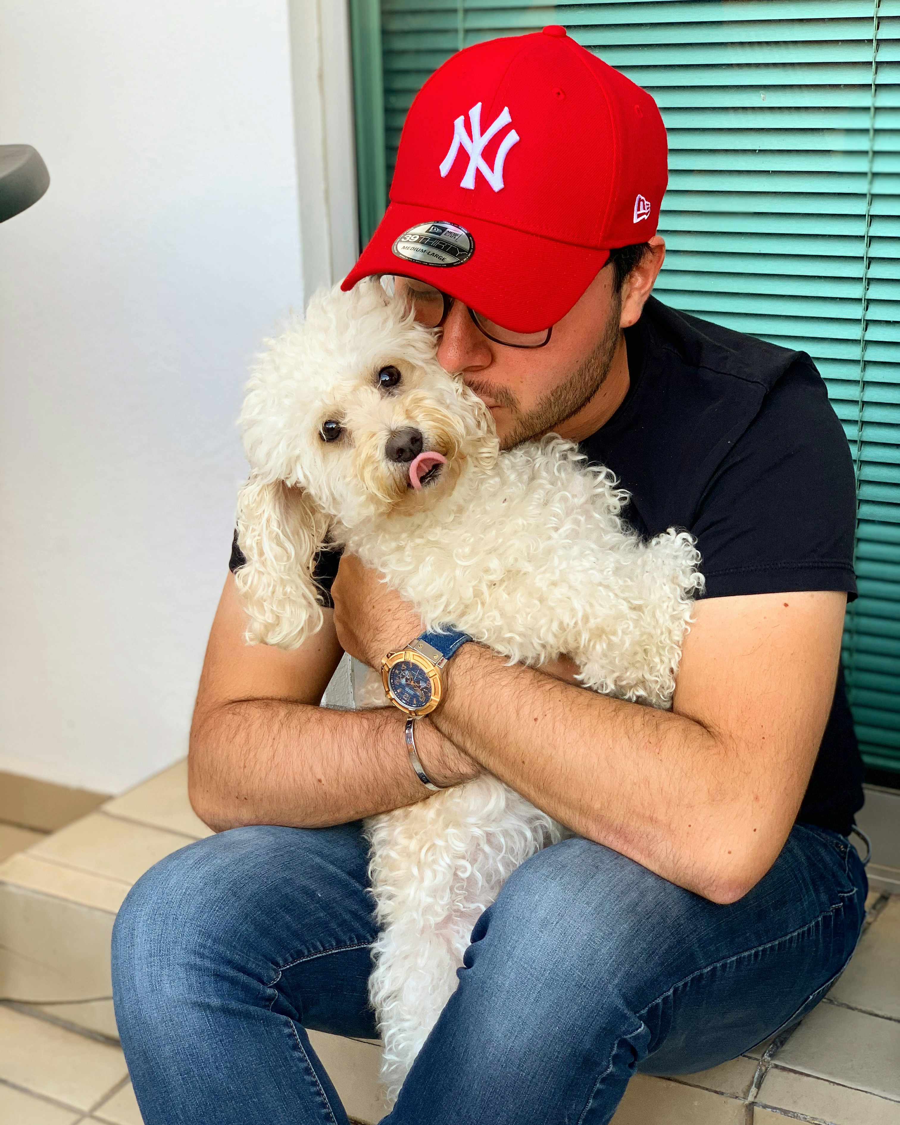 white poodle on persons lap