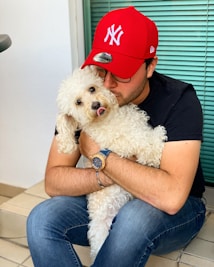 white poodle on persons lap