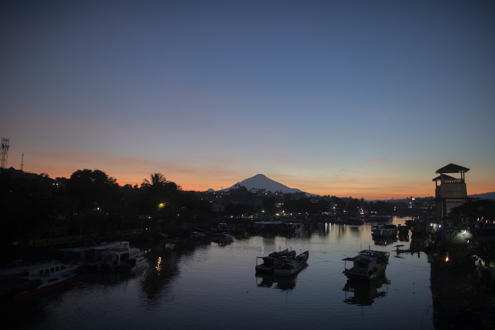 Cuerpo de agua cerca de los árboles durante la puesta del sol