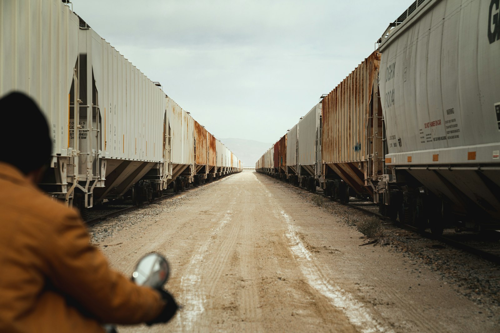 Sony a7R III sample photo. Brown and white train photography