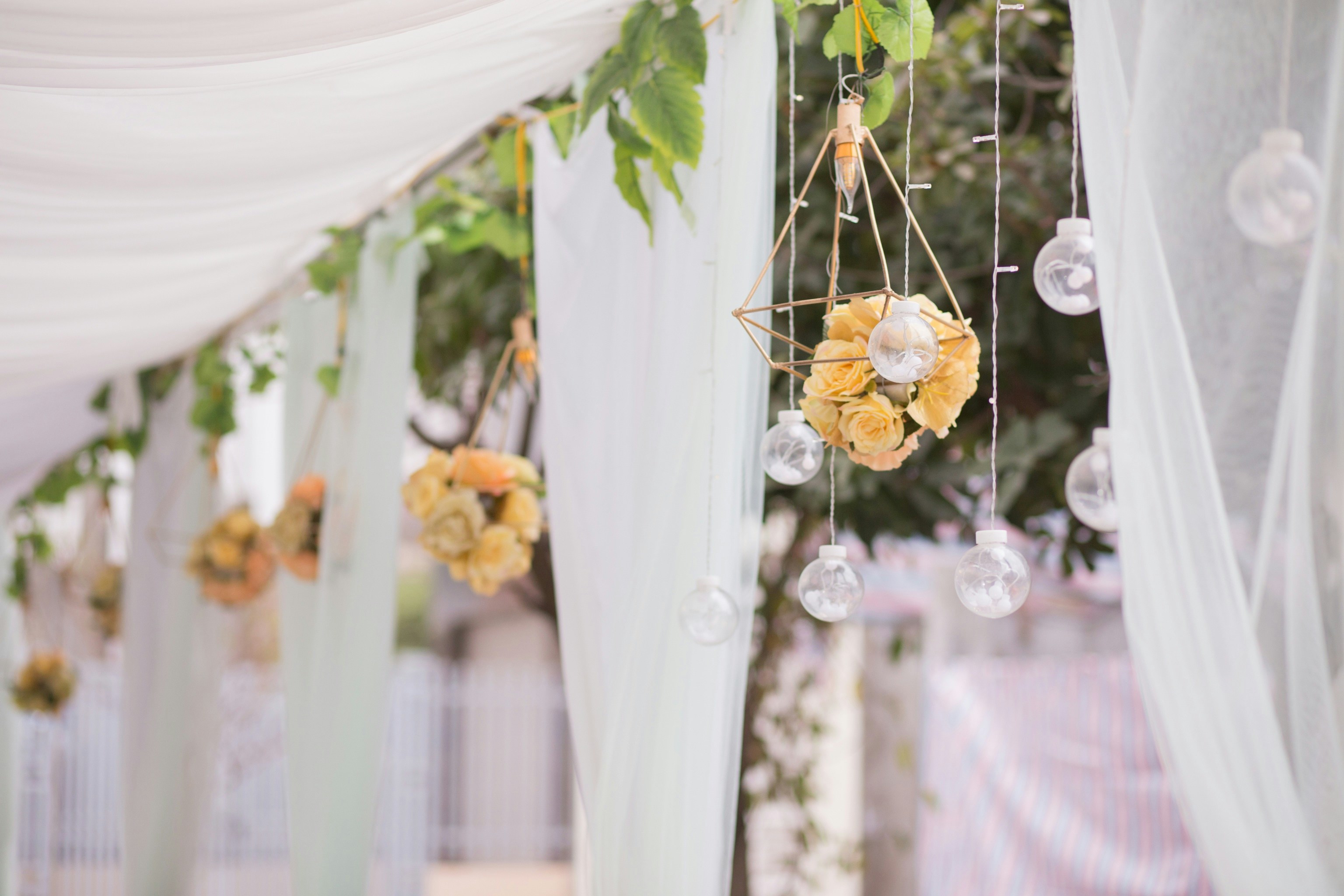 Photo by chaunhan9707