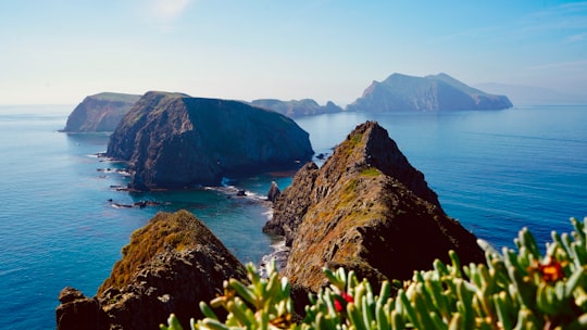 green grass on mountain near body of water during daytime in Anacapa Island United States