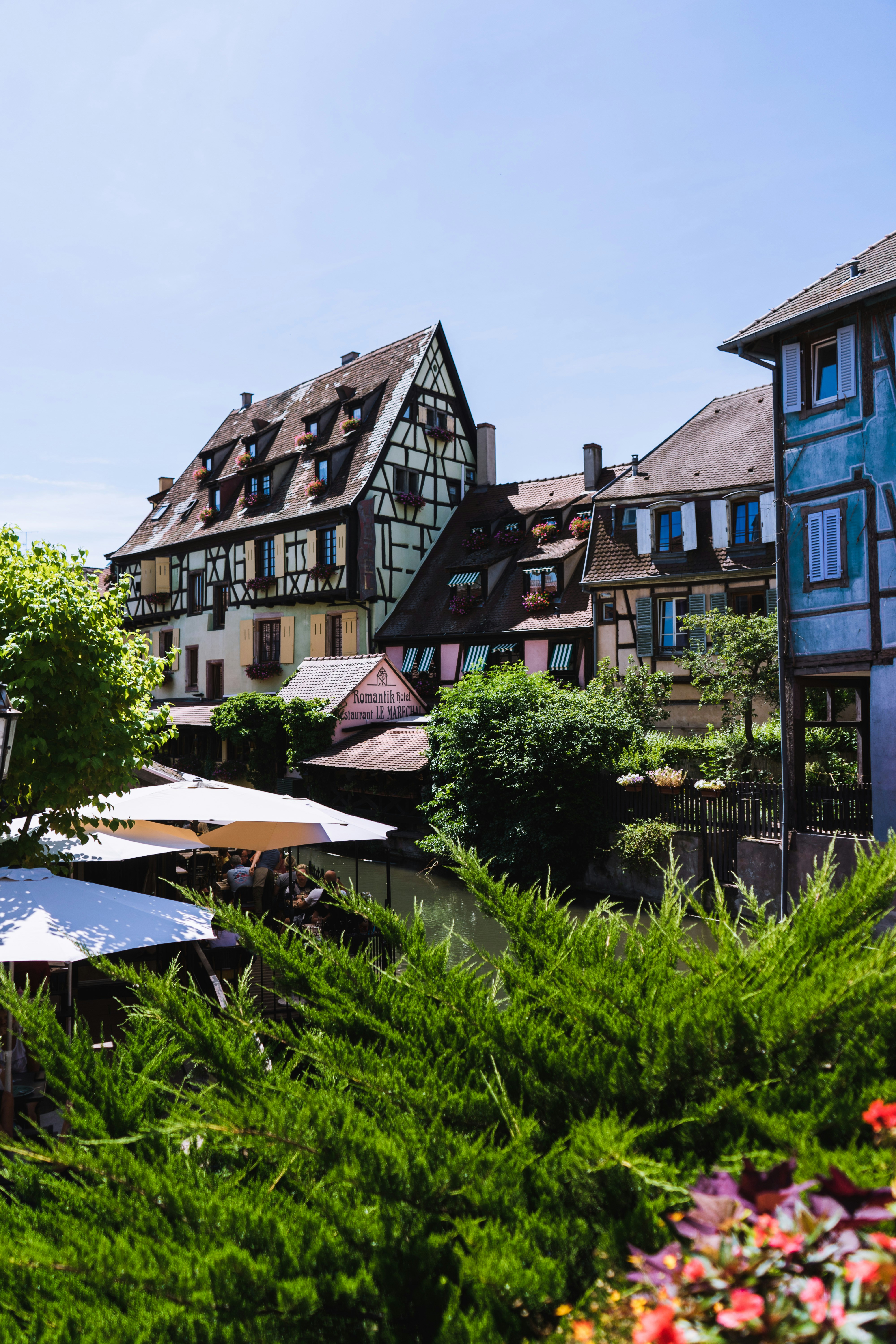 Photo by virussinside