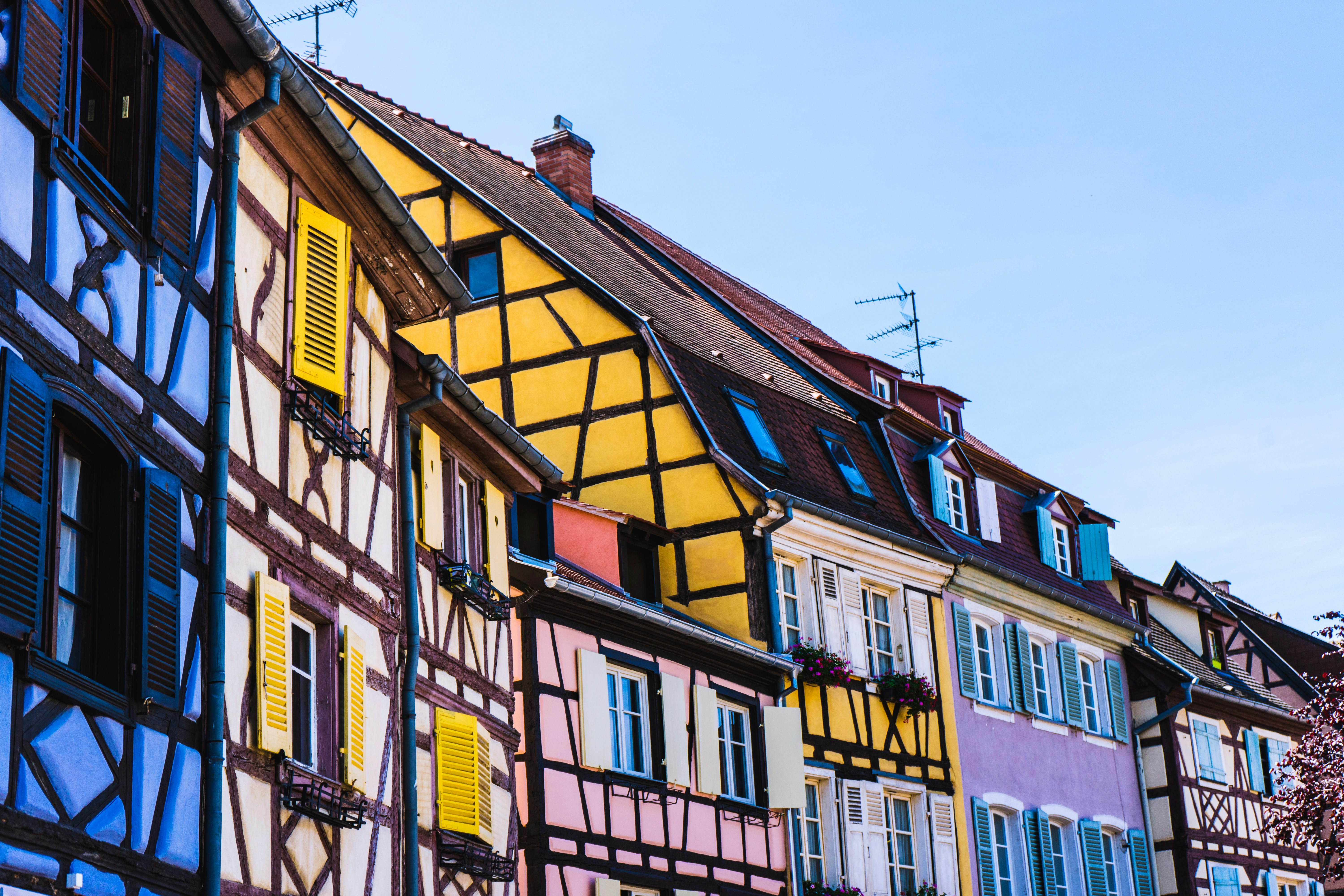 Photo by virussinside