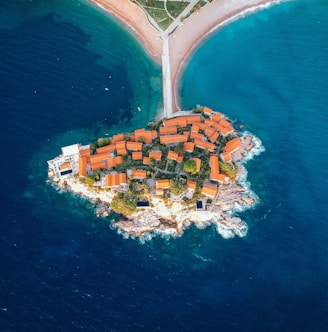 aerial view of city buildings near body of water during daytime