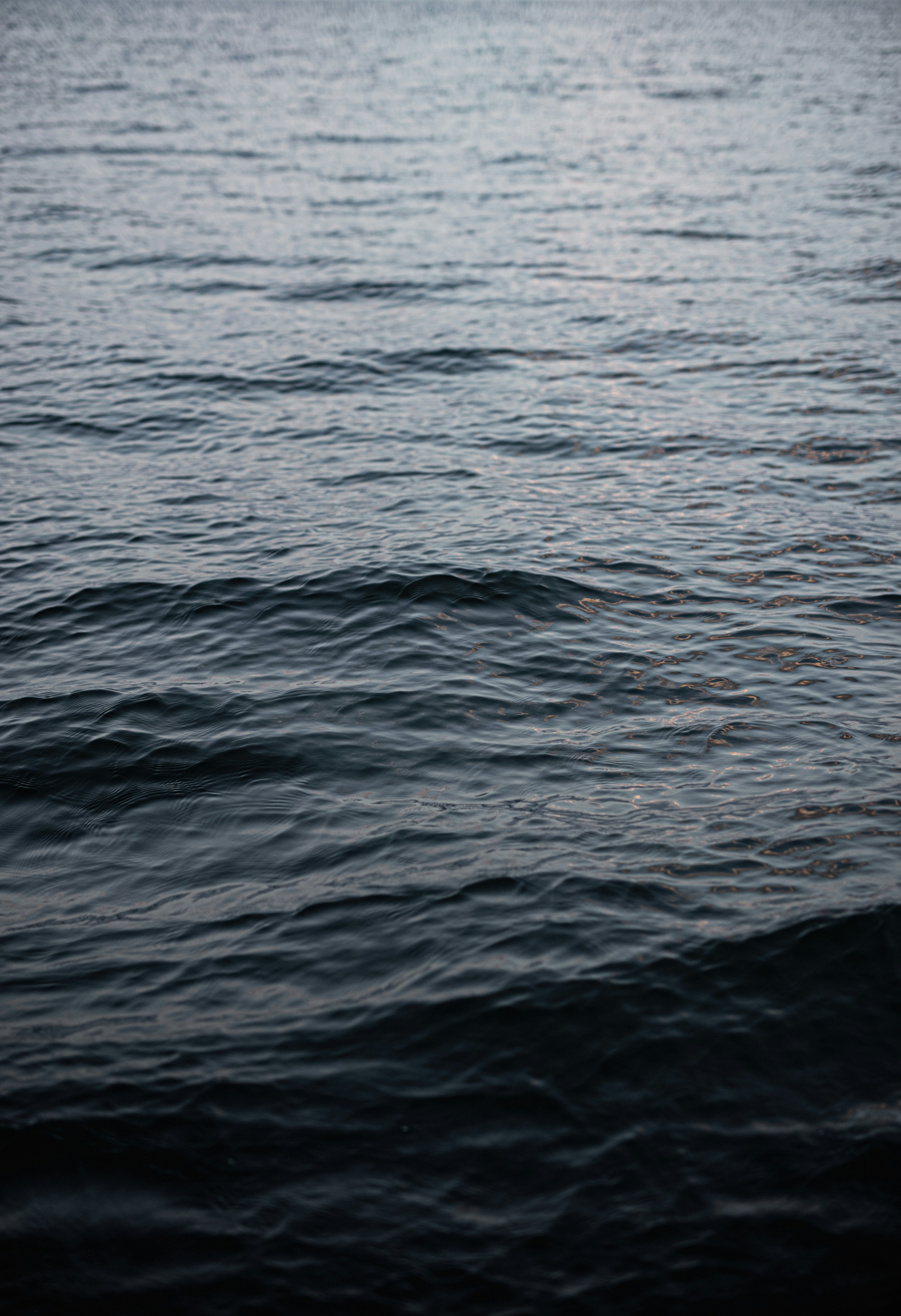 Photo by vinomamba24