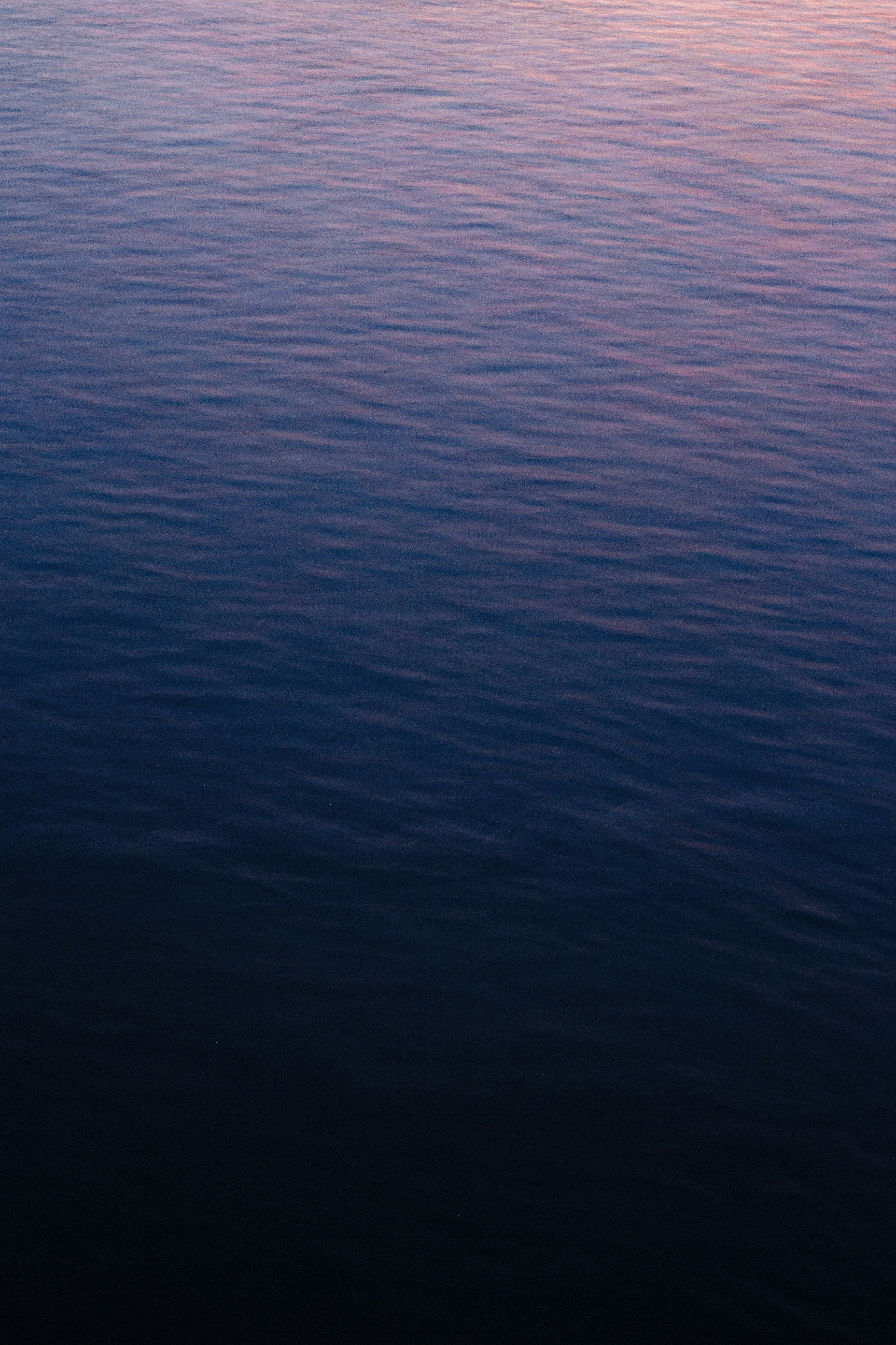 Photo by vinomamba24