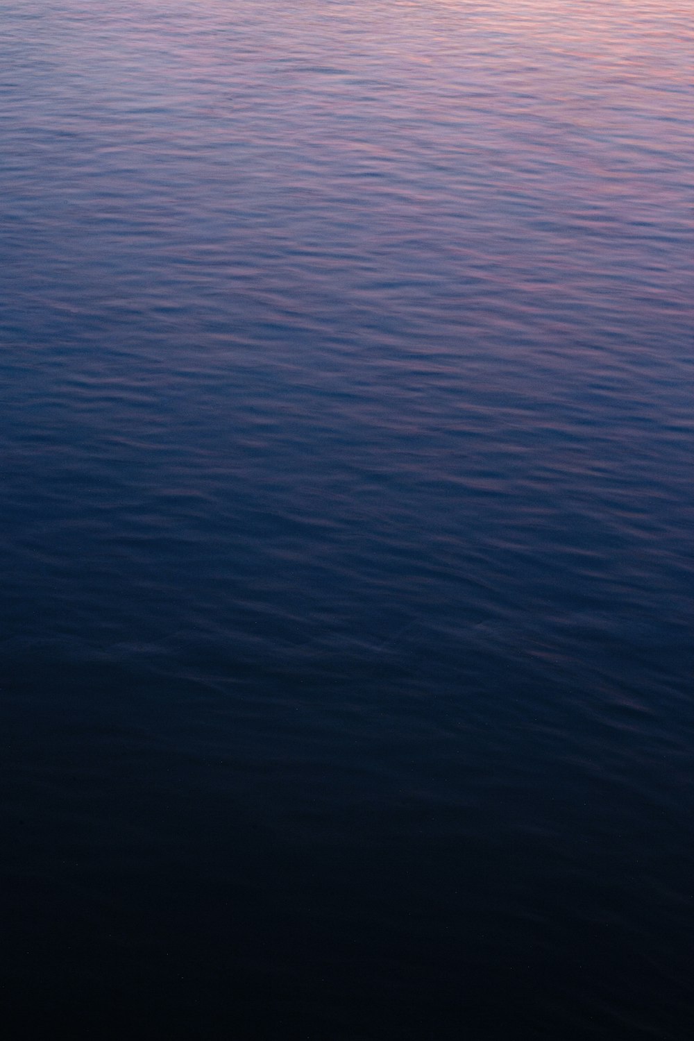 blue body of water during daytime