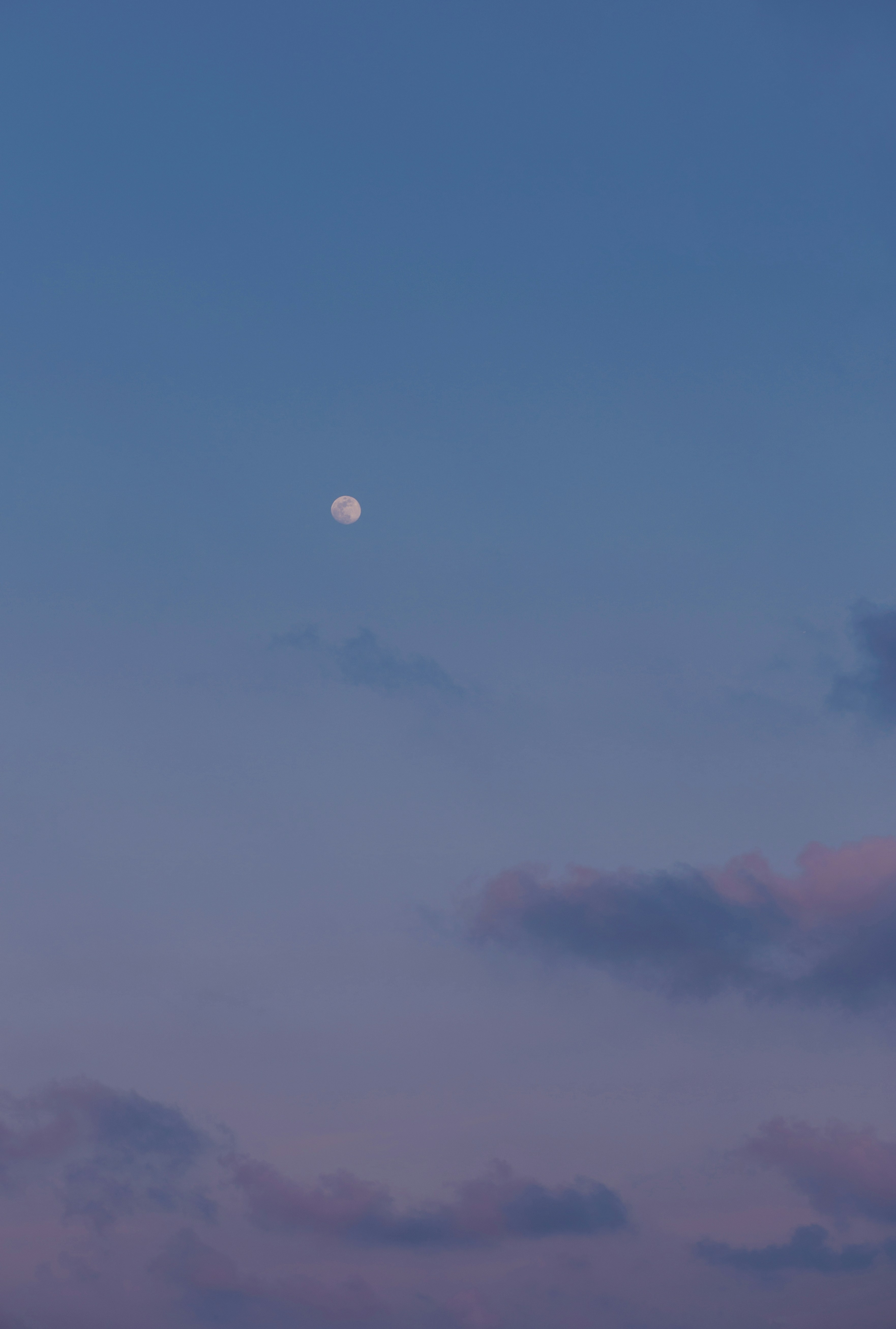 Photo by vinomamba24